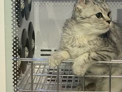 -中农国际动物医院24小时·猫科·骨科·急重症中心