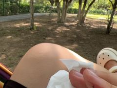 -长白岛森林公园