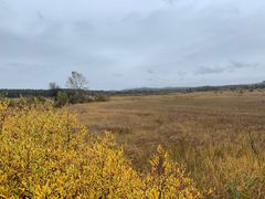 -塞罕坝国家级自然保护区