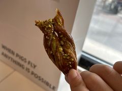 -WHEN PIGS FLY当猪飞