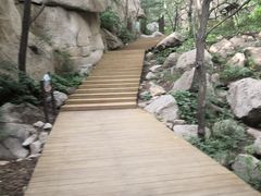 -大岭沟猕猴桃谷风景区