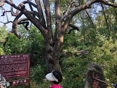 -北京密云天门山风景区