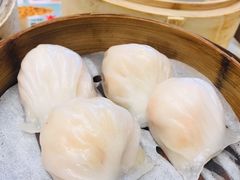 虾饺-君豪大酒店-东海渔村中餐厅