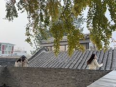-自如ZSPACE四合院艺术餐厅