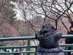 -重庆彩云湖湿地公园