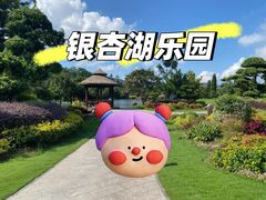 -南京银杏湖乐园