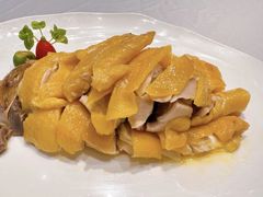-五棵树•粤西高凉菜(琶洲店)