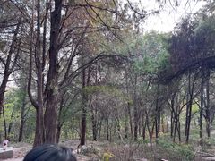 -云龙湖旅游景区