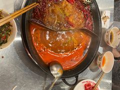 -朱光玉火锅馆(正弘城店)