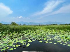 -野鸭湖国家湿地公园