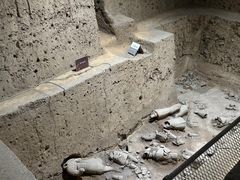 -秦始皇帝陵博物院-丽山园