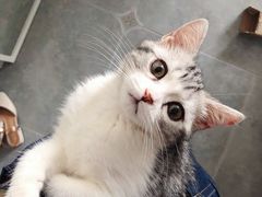 -名扬烤肉(起源店)