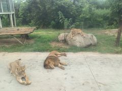 -西安秦岭野生动物园
