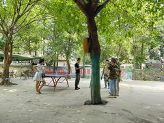 -勇士之星真人CS·团建·拓展(清水河公园店)