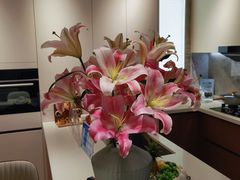 -索菲亚全屋定制衣柜橱柜家具(十里河居然之家智能馆家具店)