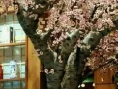 -大江户·温泉洗浴(浑南店)