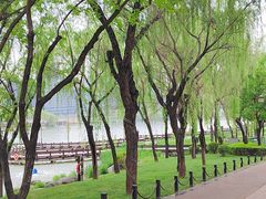 -唐城墙遗址公园