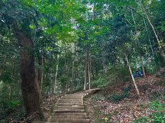 -上海佘山国家森林公园天马山园