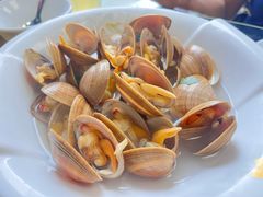 -前海沿·青岛菜(大拇指广场石老人店)