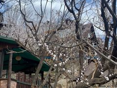 -北京水岸山吧度假村(雁栖镇店)