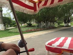 -南宁花花大世界景区
