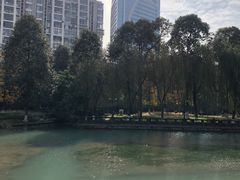 -温江公园