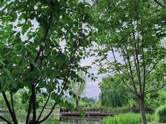 -东郊湿地公园