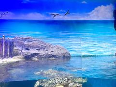 -海合安武汉极地海洋公园