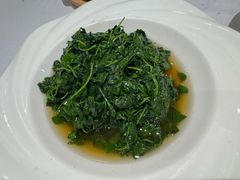 酒香草头-新雅粤菜馆(南京东路店)