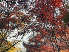 -岳麓山风景名胜区