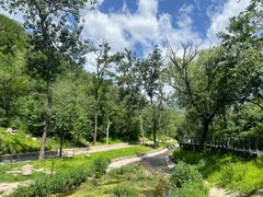 -白水寺森林公园