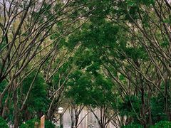 -深圳龙潭公园