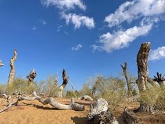 -亿利库布其七星湖沙漠生态旅游区