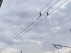 -宫门口馒头铺(创始人总店)