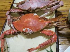 -滨海小渔村·海肠捞饭·鲅鱼水饺·特色老火鱼丸汤(华田店)