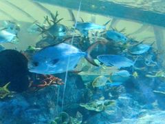 -常州海昌海洋探索馆