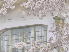 -武汉大学-樱园