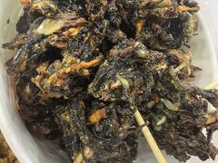 -美美阿姨醋肉(县后路店)