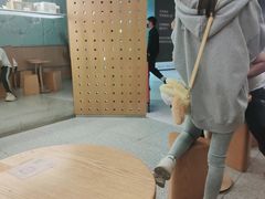 -代数学家algebraist(东吴龙湖天街店)