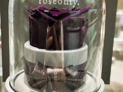 -ROSEONLY诺誓(广州K11店)