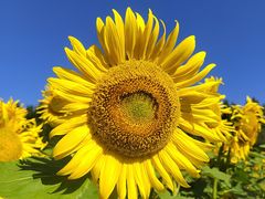 -长春公园(普阳街道)