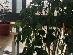 -云城照相馆(龙湖雨山天街店)