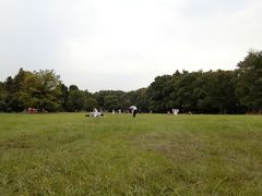 -东湖落雁景区
