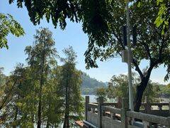 -顺峰山公园