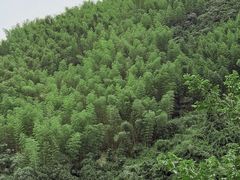 -雅鲁激流探险漂流