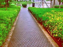 -云南省大剧院