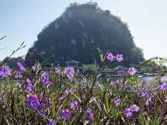 -星湖旅游景区七星岩