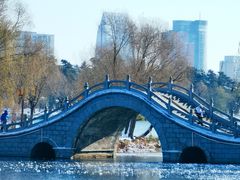 -长春市南湖公园