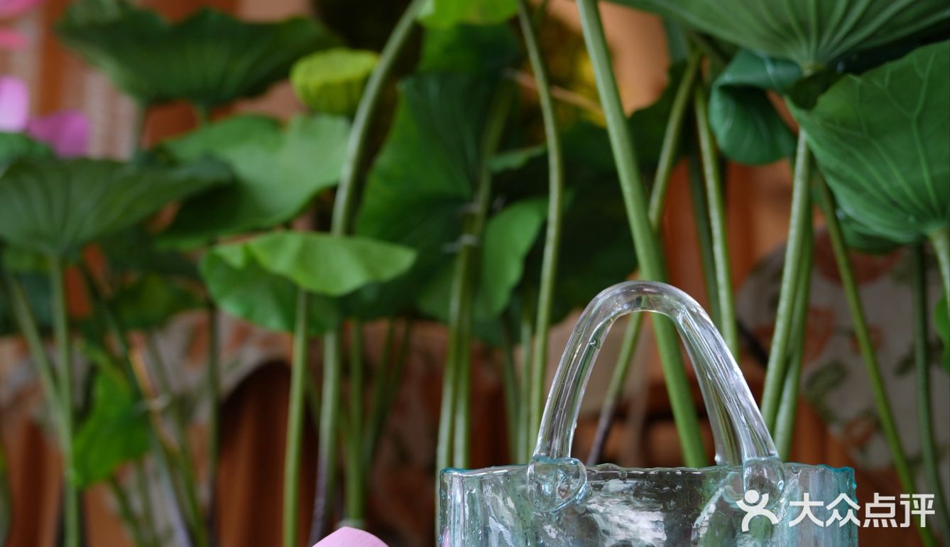 🔥天津五大道！夏日限定荷花下午茶美到窒息！
