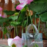 🔥天津五大道！夏日限定荷花下午茶美到窒息！
